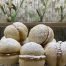 almond cookies